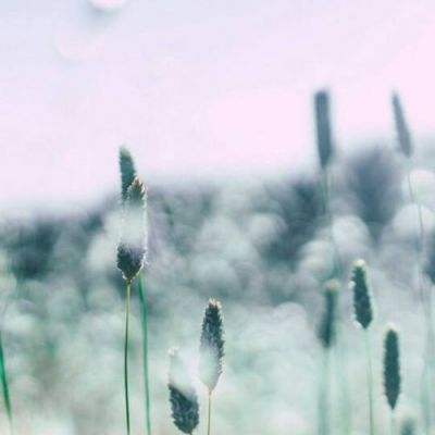 万博体育全站ManBetX